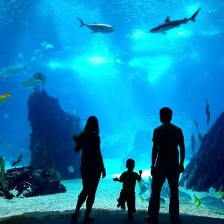 Primera Linea Playa+parking Gratis Apartment Gijon