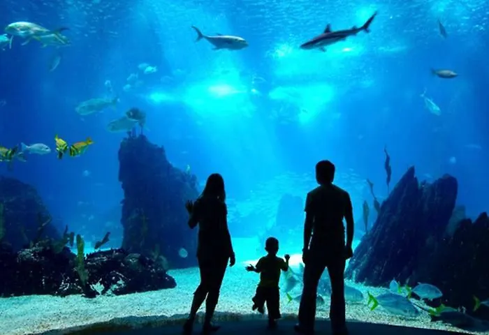 Primera Linea Playa+parking Gratis Appartement Gijón