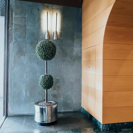 Primera Linea Playa+parking Gratis Gijón