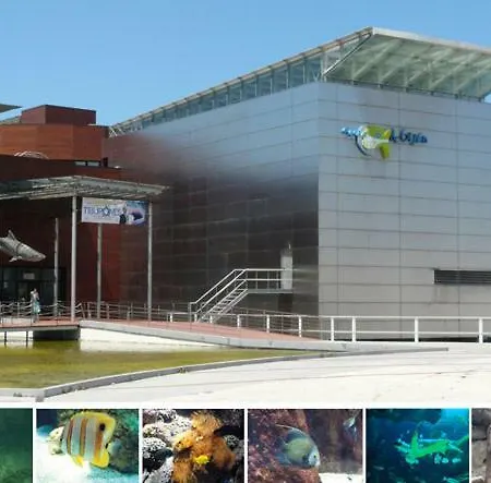 Lägenhet Primera Linea Playa+parking Gratis *